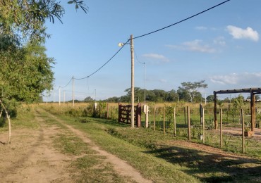 TERRENOS