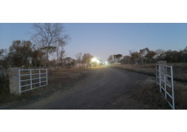 TERRENO